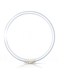 Кольцевая энергосберегающая лампа Osram FC 40w/830 2Gх13