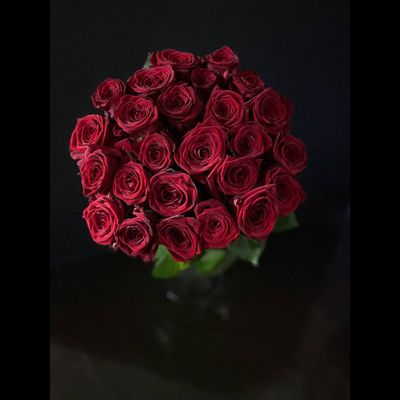 Роза  Россия  60 см. 25 шт.