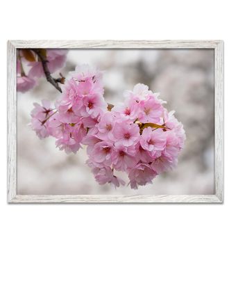 Картина в раме для декора 466беж 70*50 "Цветок".