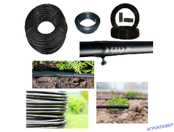 Капельная трубка (многолетняя)