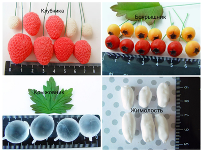 Набор молдов "Ягоды"