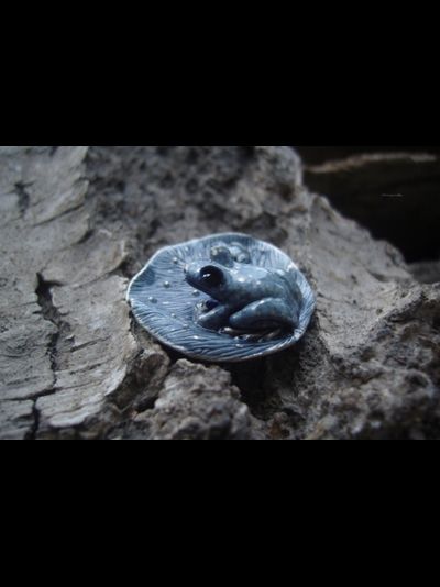 &quot;Лелевеля и Полель. В ожидании света первой звезды&quot;, мини брошь с лягушками