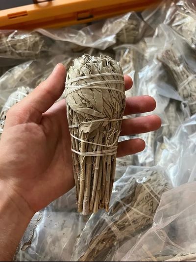 Белый шалфей - Факел 60-90 гр. (Большой)