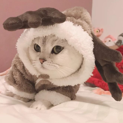 Плюшевый костюм Оленя для собак и кошек