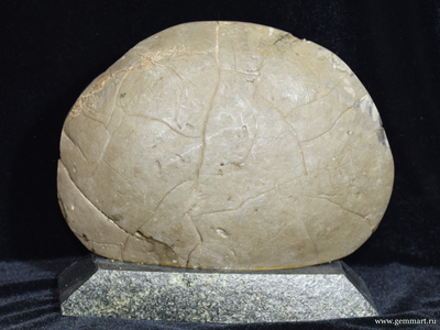 Септария - полированный спил на подставке из камня. 190*103*172мм