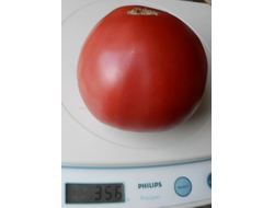 Томат Большая малина (Great Raspberry)