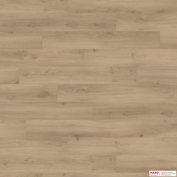 Декор ламината Haro Tritty 100 Дуб Эмилия Пуро 538691 фронт