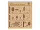 Конфеты Кедровый грильяж ассорти в шоколаде (клюква, черника, облепиха), 120г (Сибирский кедр)