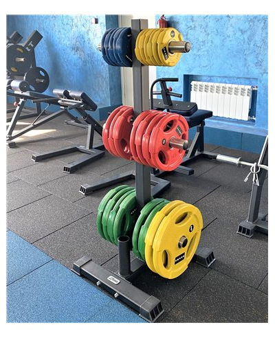 Подставка для олимпийских грифов и дисков AV608/80