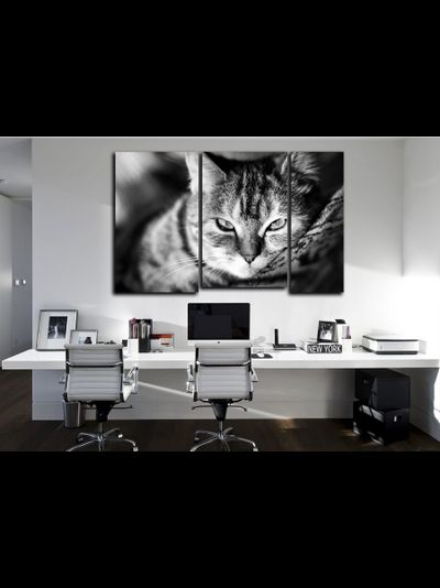 Модульная картина &quot;Кошачье блаженство&quot;