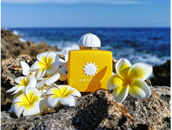 Sunshine Woman Amouage