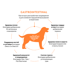 Grandorf VET Gastrointestinal (Грандорф Вет Гастроинтестинал) при острых расстройствах пищеварения и для снижения нарушений всасывания в кишечнике, 1кг