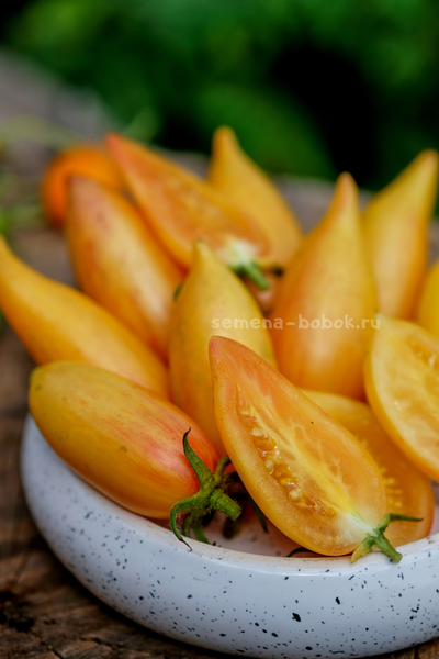 Томат Sweet Cream (Сладкий Крем), 10 шт