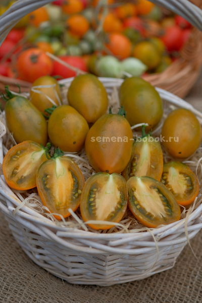 Томат Dwarf Laura’s Bounty (Лаура Баунти), 10 шт