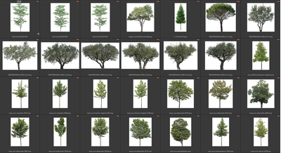 Деревья летние лиственные