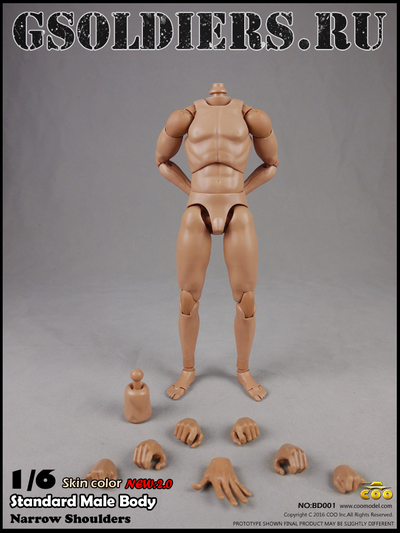 Тело стандартное 1/6 - NEW:2.0  Body NO: BD001  - COOMODEL