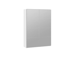 Шкаф-купе 2-х дверный «Траст» 1600 Белый снег,Зеркало/Зеркало