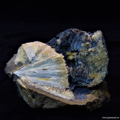 Барит на псиломелане в полости ракушки. 50*50*42мм