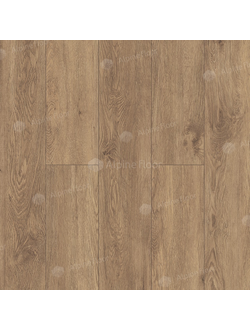 ABA ламинат Гевуина ECO 11-703