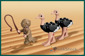 # 7570 Страусиные Бега / The Ostrich Race (2010)