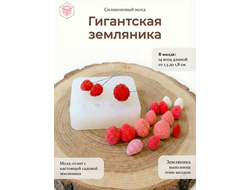 Молд "Гигантская земляника"