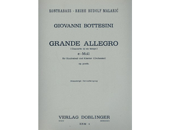 Bottesini, Grande allegro Concerto e-moll