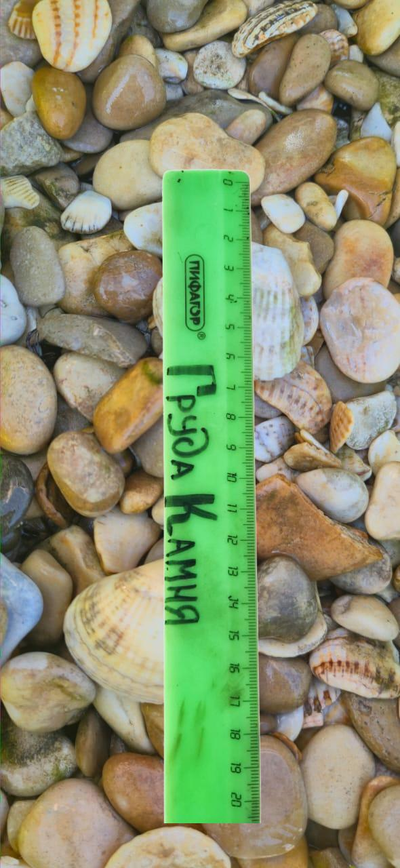 Морской Микс желтоватый