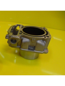 Передний Цилиндр оригинал 420623566/420623565 для BRP Can-Am G2 1000