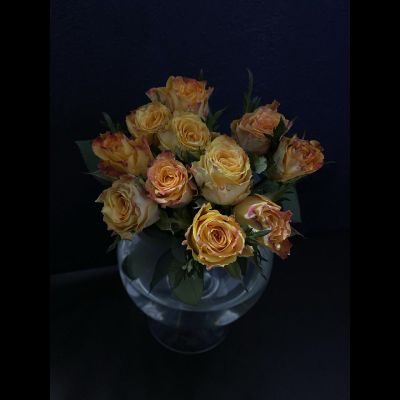 Роза Кения 11 шт