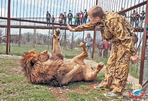 Сафари-парк "Тайган"