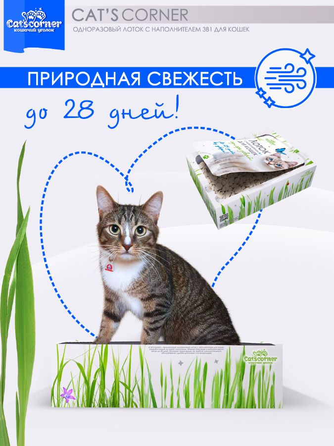 Выбираем кошачий одноразовый лоток, не требующий уборки, чистота 25 дней (лоток на время отъезда)