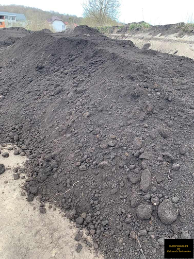 плодородная почва