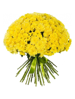 Хризантема кустовая желтая