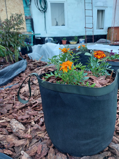 Кашпо 4 литра напольное. Умный тканевый горшок Гроубэг