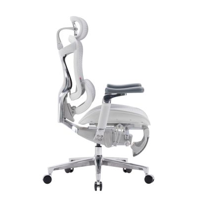 Ортопедическое кресло SIHOO Doro C500 | серо-белое