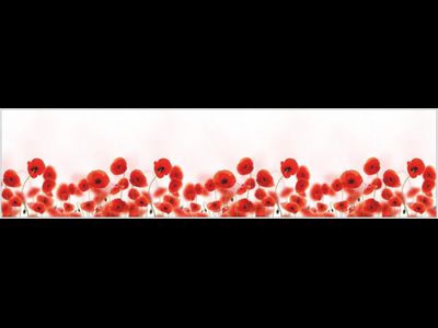 Маки (3х0,6 м; 2х0,6 м)