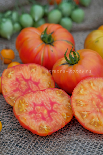 Томат Marcy’s Mystery (Тайна Марси), 10 шт