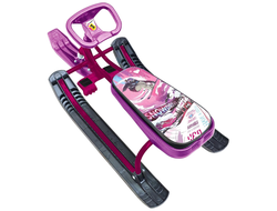 Продажа снегокатов Team Sport 3.0 (Purple/Black) в Иркутске по низким ценам