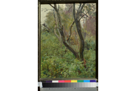 «Деревья и травы» 1958-1960гг., картон, масло, 48,5х37
