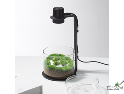 Набор для биодизайна  Biolark LH-03