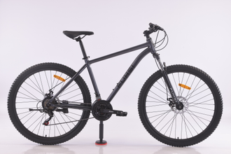 Велосипед FU669 / 21ск 29" серый рама 19"
