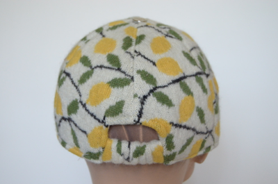 Визио бейсболка зимняя