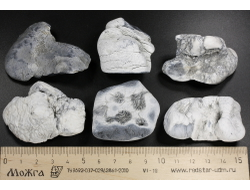 Кахолонг (Опал), желвак цельный в ассортименте, Оренбургская обл. (42-54 мм, 32-40 г) №29433