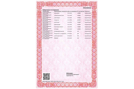 ЛАБОРАТОРНЫЕ ИССЛЕДОВАНИЯ ОТ 20.03.19