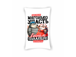 Подушка вертикальная #47 на 23 февраля