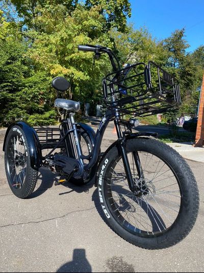 Электровелосипед трехколесный Fat Trike F