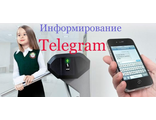 Информирование Telegram НОЧУ (один месяц)