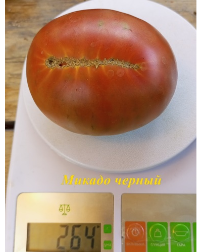 Томат Микадо черный