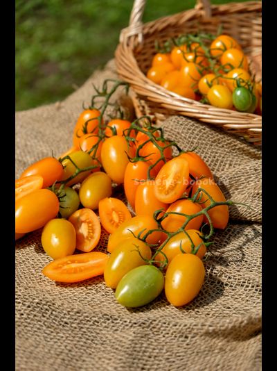 Томат Märchengold (Сказочное Золото), 10 шт