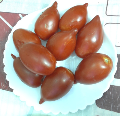 Томат Легенда ( Тарасенко)